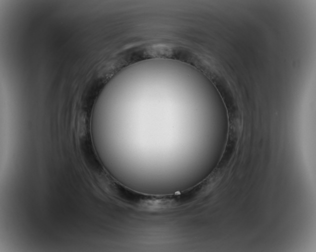 X0000085780323200703301431