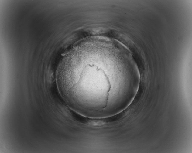 X0000085780327200703301431