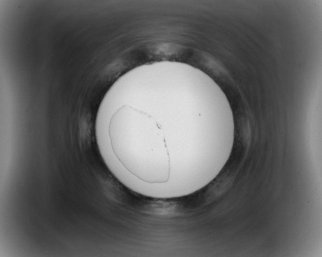 X0000085780328200703301431