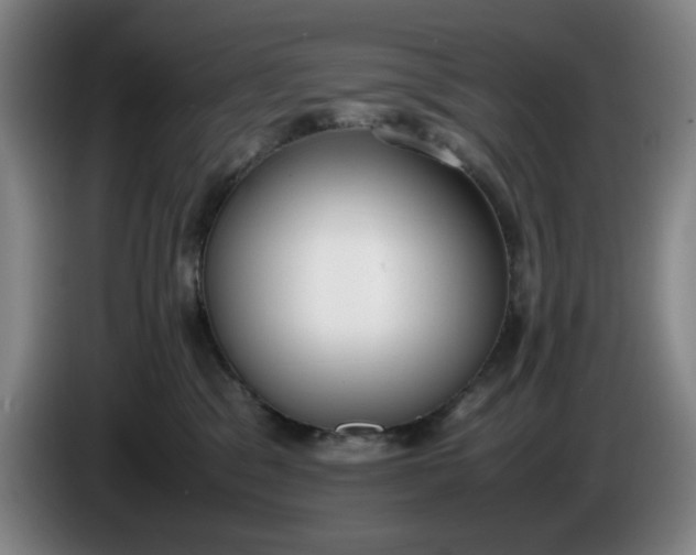 X0000085780329200703301431