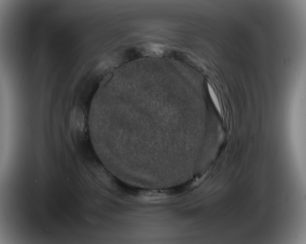 X0000085780331200703301431