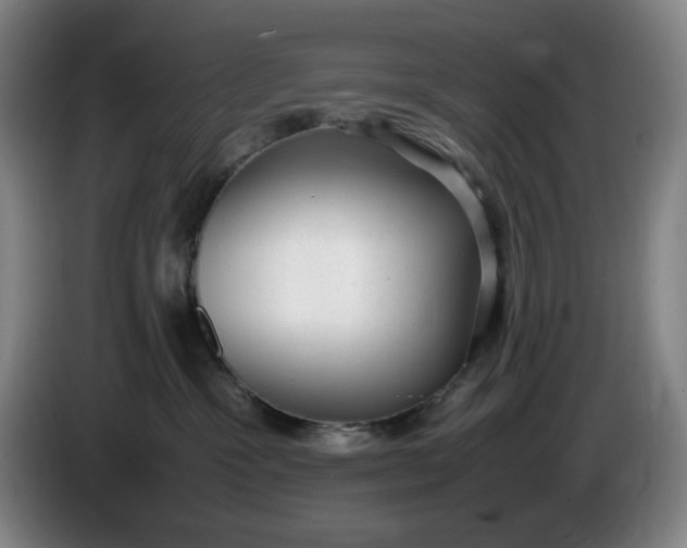 X0000085780333200703301430