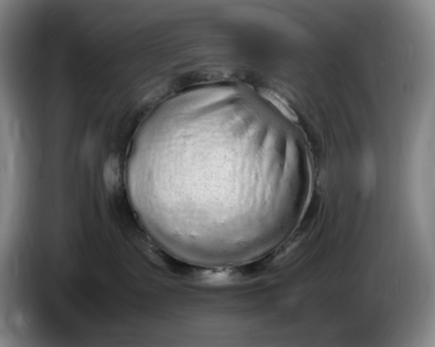 X0000085780335200703301430