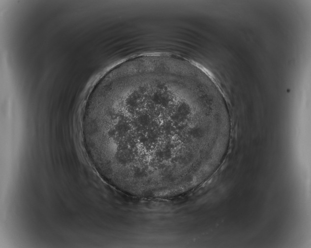 X0000085780337200703301430