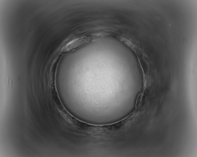 X0000085780339200703301430