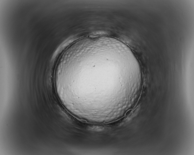 X0000085780341200703301430