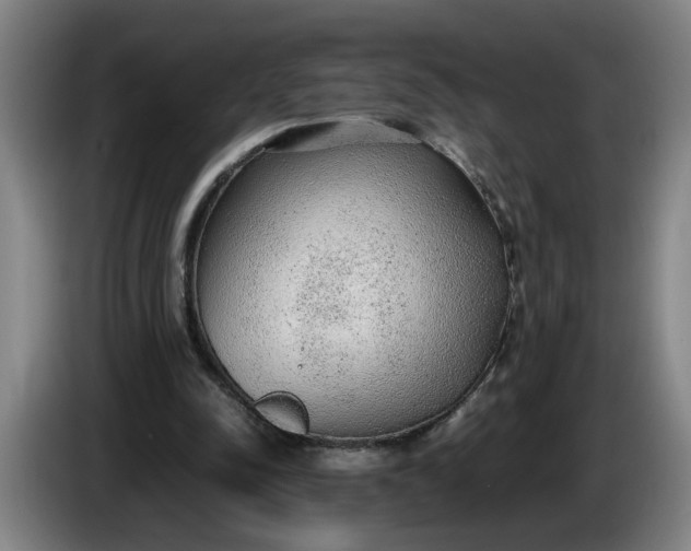 X0000085780342200703301430