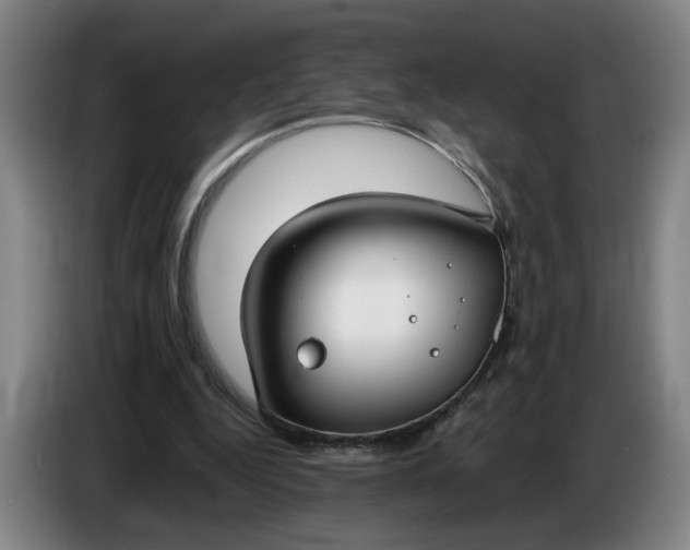 X0000085780344200703301430