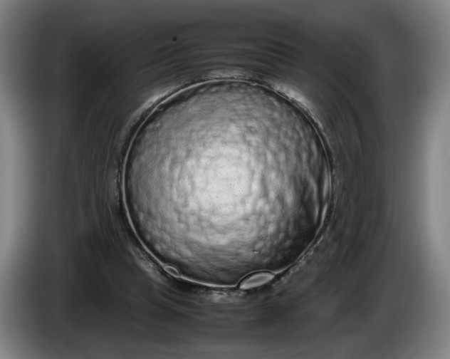 X0000085780345200703301430