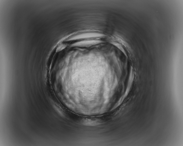 X0000085780346200703301430