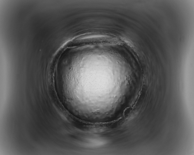 X0000085780347200703301430