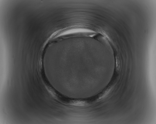 X0000085780348200703301430