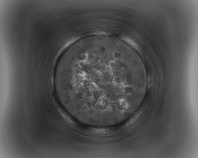 X0000085780349200703301430