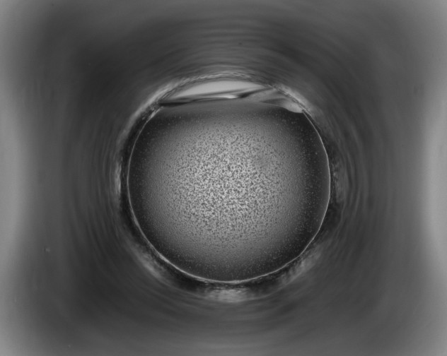 X0000085780350200703301430