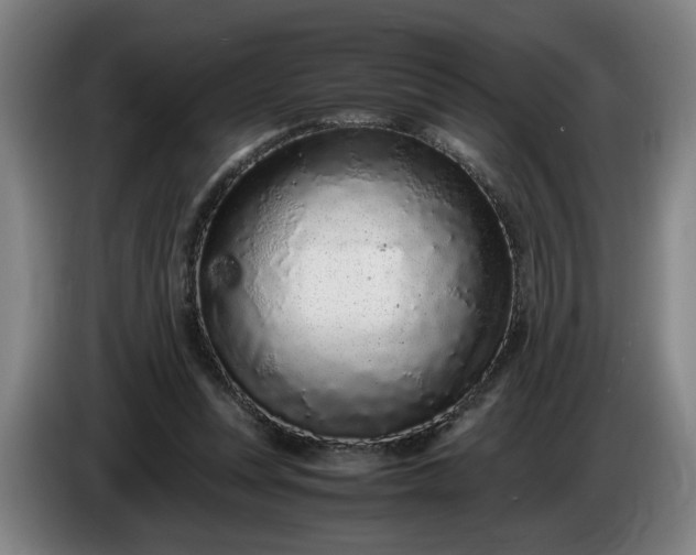 X0000085780351200703301430