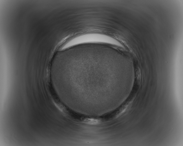 X0000085780352200703301430