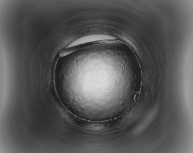 X0000085780353200703301430