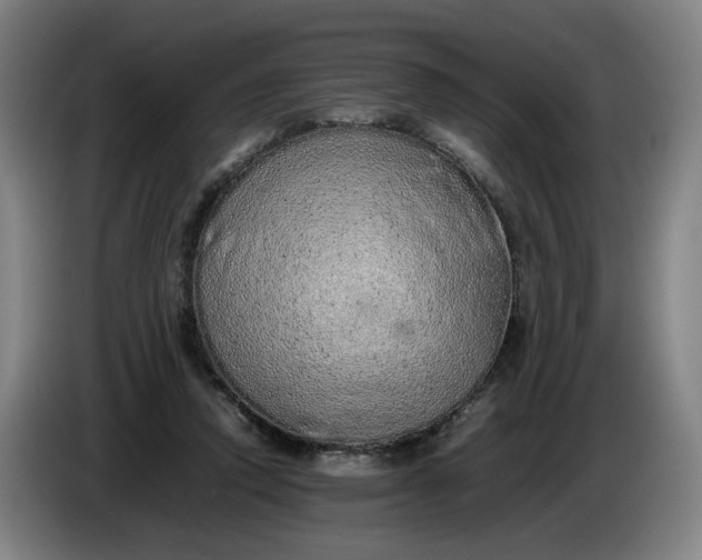 X0000085780354200703301430