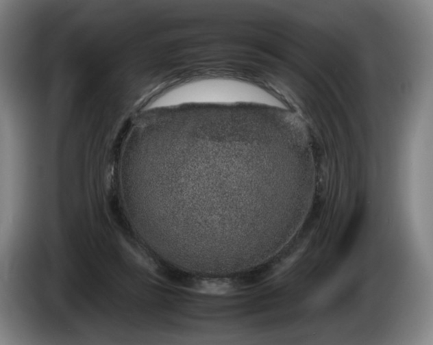 X0000085780355200703301430