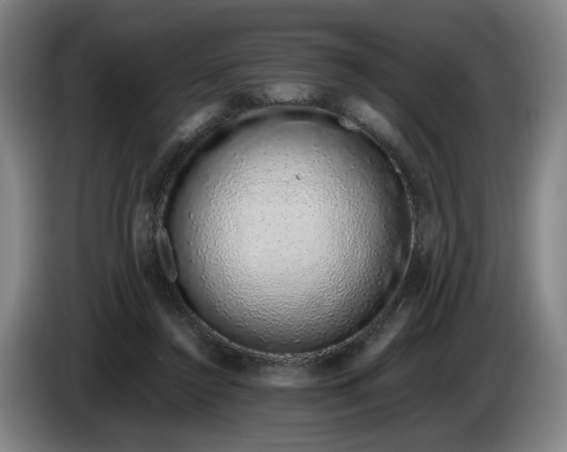 X0000085780356200703301430