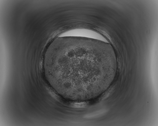 X0000085780357200703301430