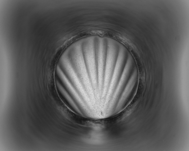 X0000085780359200703301430