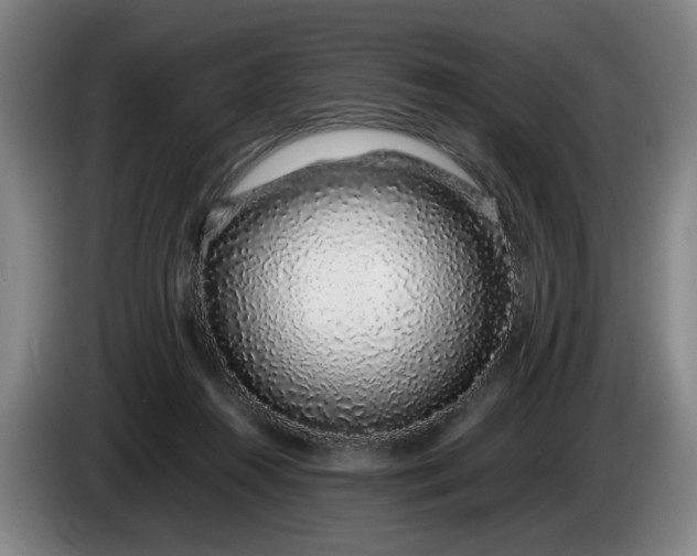 X0000085780360200703301430