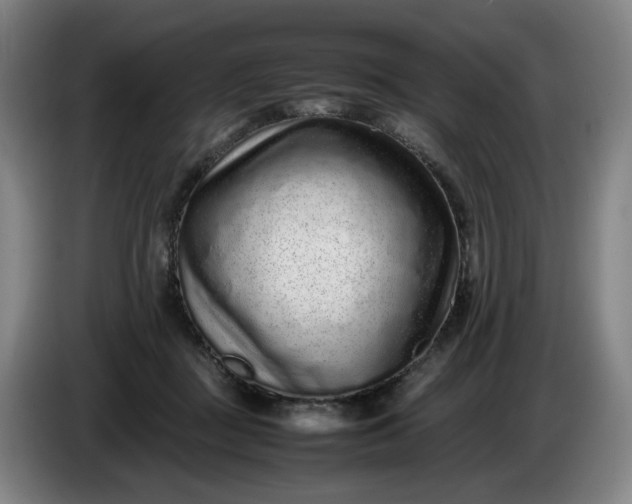 X0000085780363200703301430