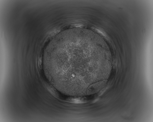 X0000085780365200703301430