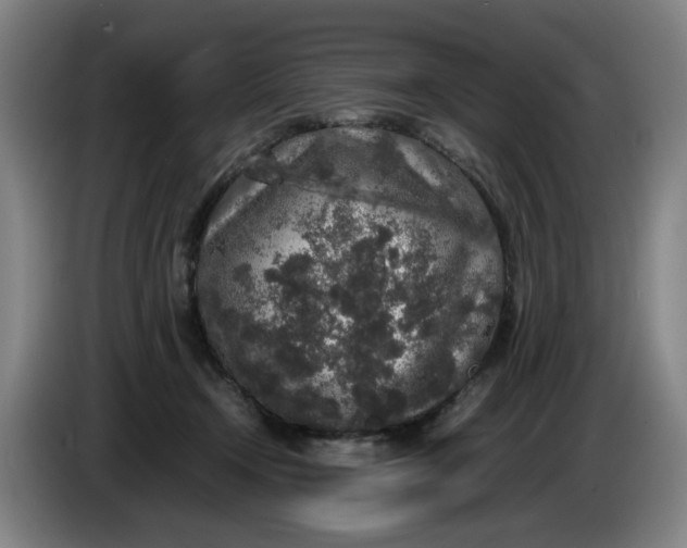 X0000085780366200703301430