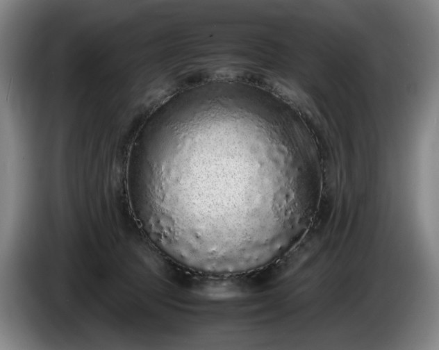 X0000085780369200703301430