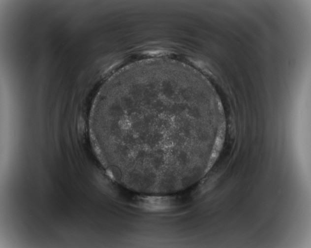 X0000085780371200703301430