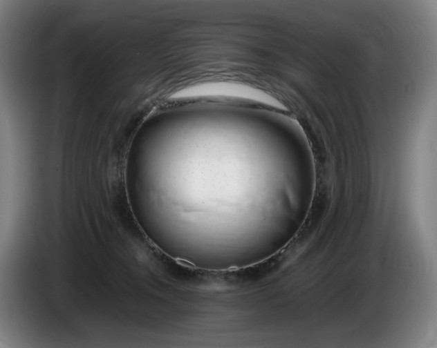 X0000085780372200703301430