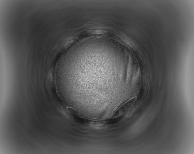 X0000085780373200703301430