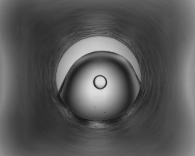 X0000085780380200703301430