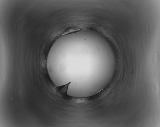 X0000085780384200703301430