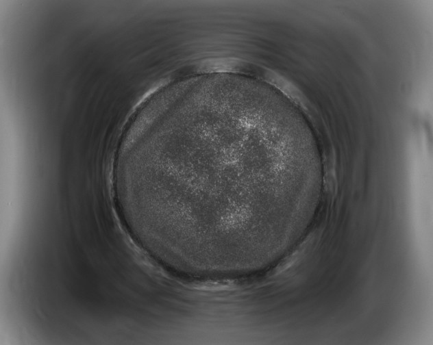 X0000085780386200703301430