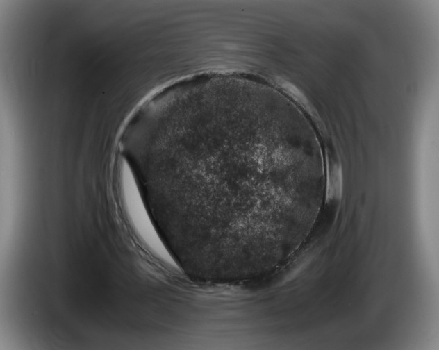 X0000085780387200703301430