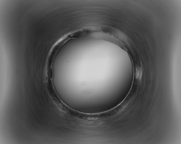 X0000085780388200703301430