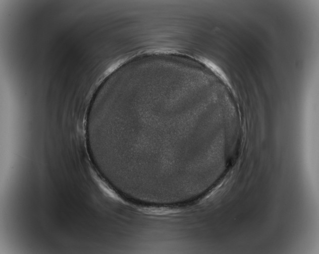 X0000085780389200703301430