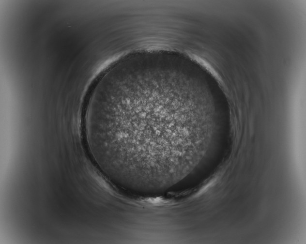 X0000085780391200703301430