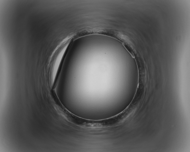 X0000085780395200703301430