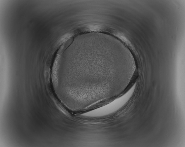 X0000085780397200703301430