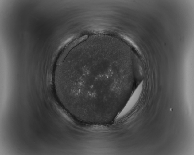 X0000085780399200703301430