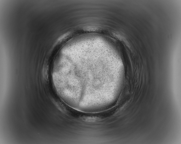 X0000085780400200703301430