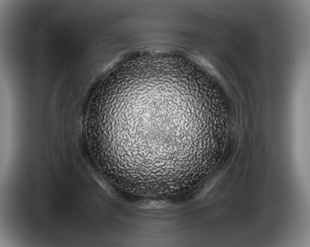 X0000085780401200703301430