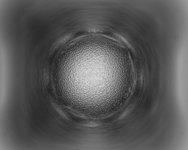 X0000085780402200703301430