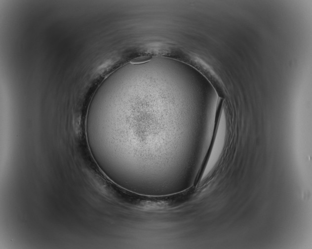 X0000085780403200703301429