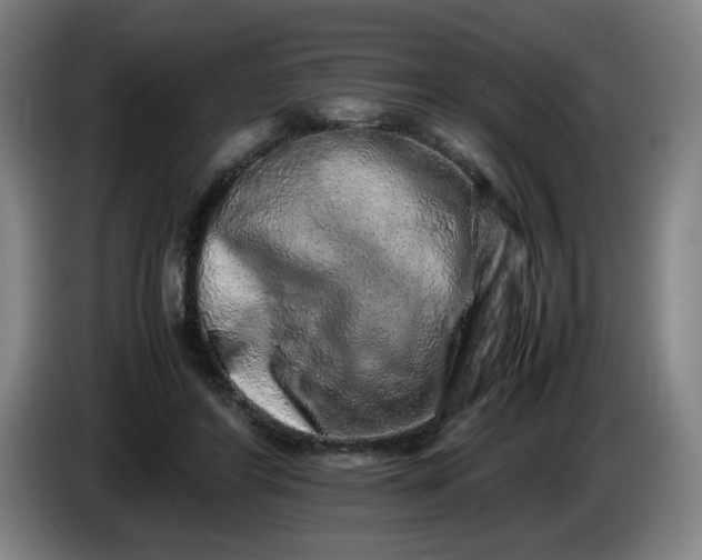 X0000085780404200703301429