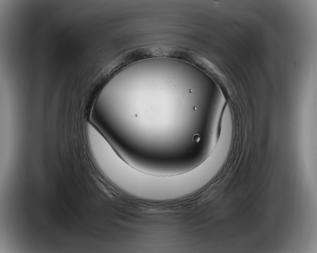 X0000085780405200703301429